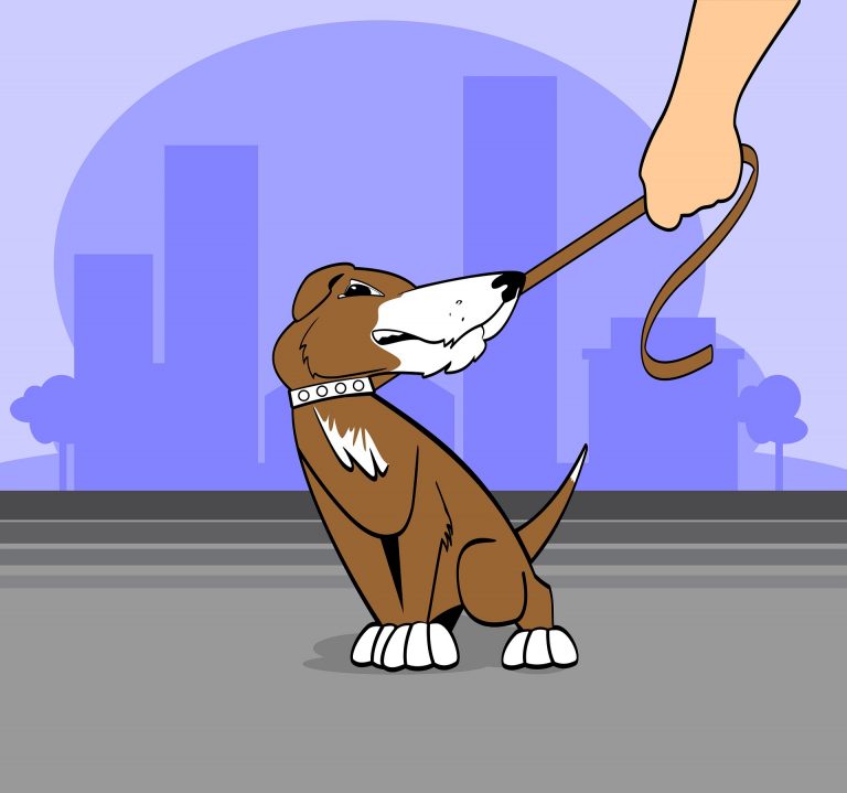 cartoon of puppy not wanting to train - 3 reasons your puppy training isn't working feature